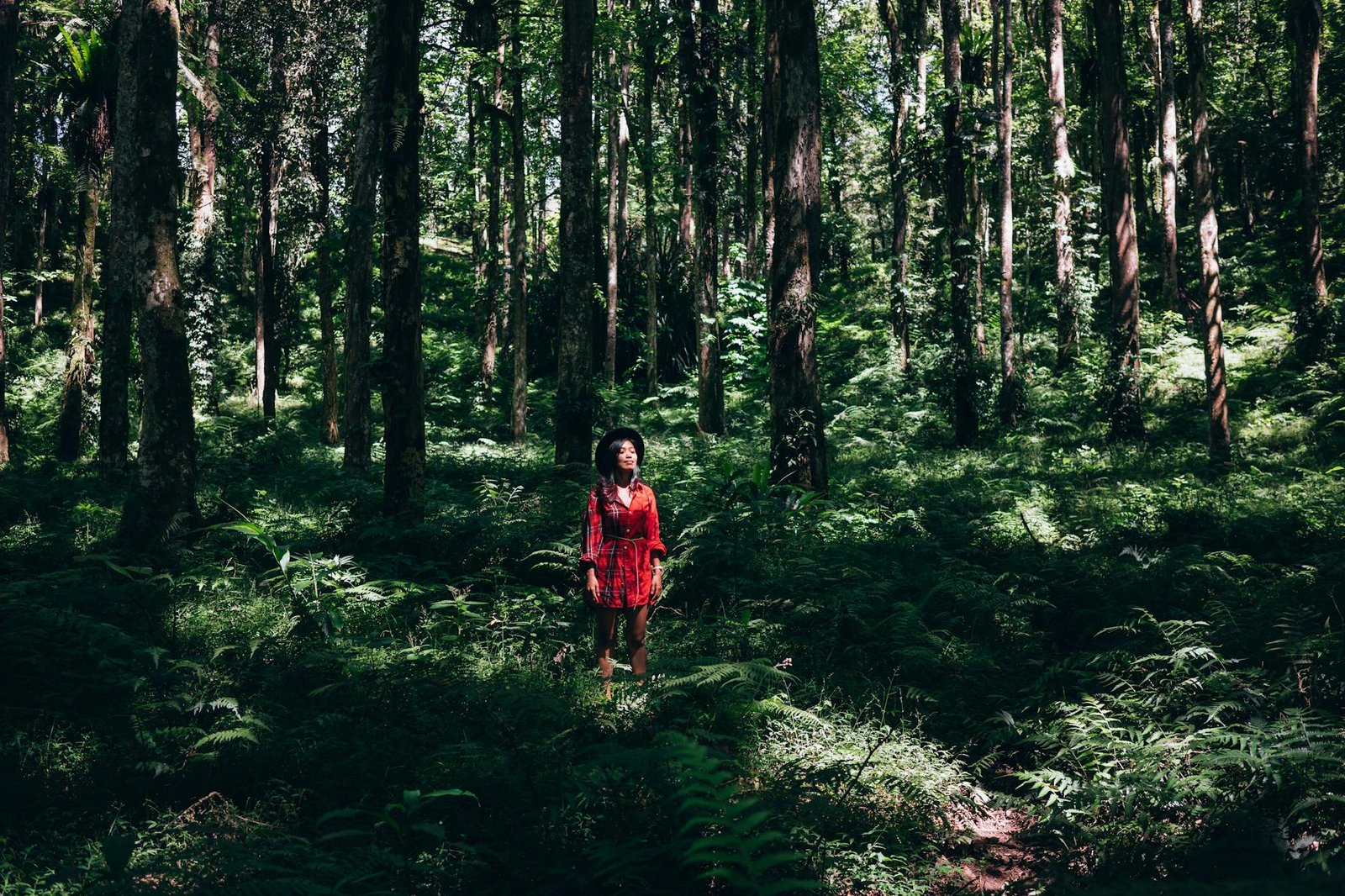 woman standing in the forest