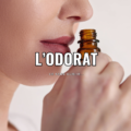 L’odorat, ce sens oublié qui mérite toute notre attention
